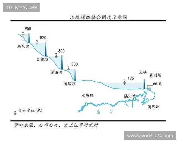 世界杯F组积分榜数据汇总及排名变化趋势全景解析助力球迷关注焦点